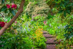 Wooden steps along a rising path