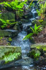 Water trickles down a quiet stream
