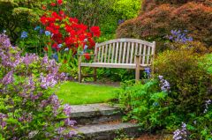 A quiet garden bench