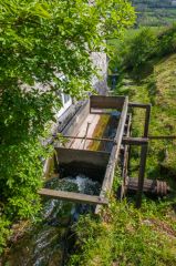The mill race at Manor Mill