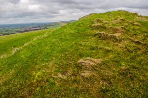 Bratton Camp Hillfort