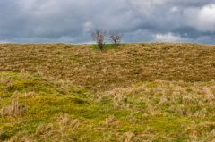 The earthworks from the White Horse