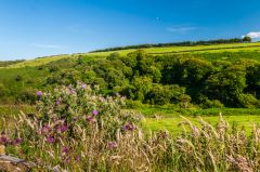 The view from the churchyard