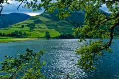 Looking east across the lake