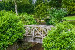 A footbridge in the garden