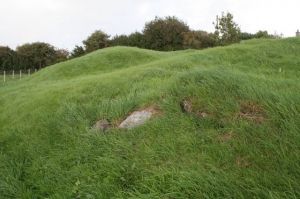 Castell Bryn Gwyn