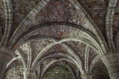 Chapter House vaulting