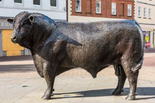 Hereford Bull Statue