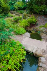 A small rill runs through the garden