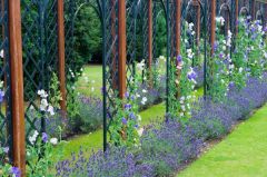 Cast iron arches act as a garden backdrop