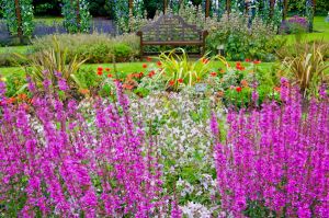 Burnby Hall Gardens