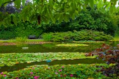 One of the 2 large ponds