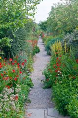 A pretty garden path