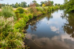 Remains of the medieval most