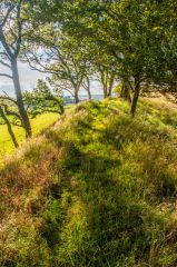The path along the top of the earthwork bank