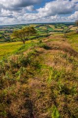 Looking west along the earthworks