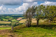 Looking north from the hillfort bank