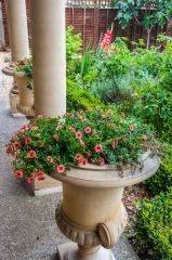 Flower urns in the garden