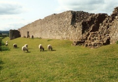 Caerwent Roman Fort