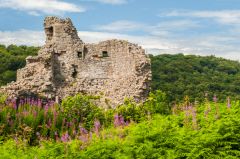 The castle in mid-summer