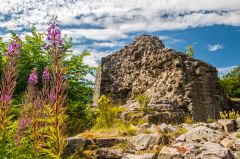 Overgrown foundation walls