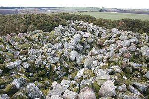 Cairn Catto