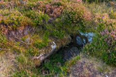 Stone cist beside the path