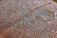 Cairnbaan Cup and Ring Marks, Cup and ring grouping