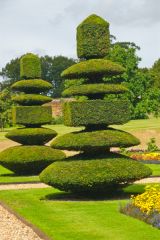 Topiary in the formal gardens