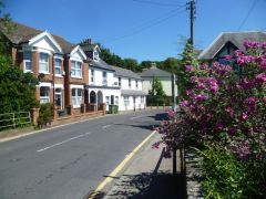 Canterbury Street (c) Marathon