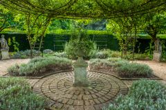 The 17th century garden