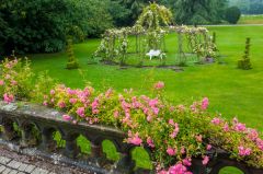 The gardens on a wet day