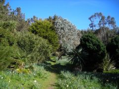 Carreg Dhu Garden (c) Mark Percy