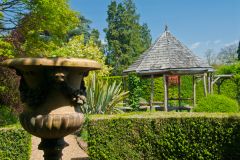 Garden urn and hedges