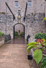 The garden gate