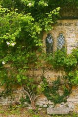 Cerne Abbey guesthouse