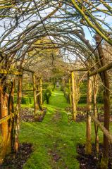 A trellis in the walled garden