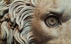 Eye of a lion statue