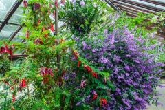 Inside the glasshouse