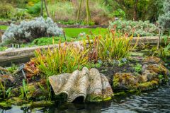 The pool rock garden