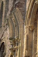 Vaulting in the Great Tower