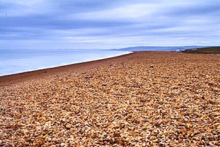 Chesil Bank and the Fleet