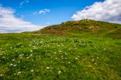 Chesters Hill Fort, Chester Hill Fort earthworks