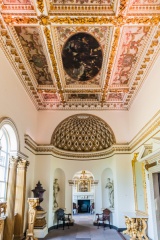 The gallery