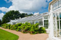 19th century greenhouse