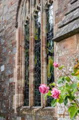 Roses outside the east window