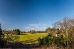 Looking over Hermitage Botom towards The Horseguards Plantation
