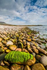 Claggain Bay, near the stone