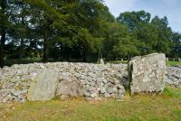 Ring cairn with standing stones