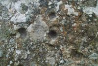 Cup and Ring marks, south-west cairn